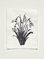 Handmade snowdrops linocut print on handmade paper in black, full view from above on white background, hand printed by UK linocut artist Sam Luck