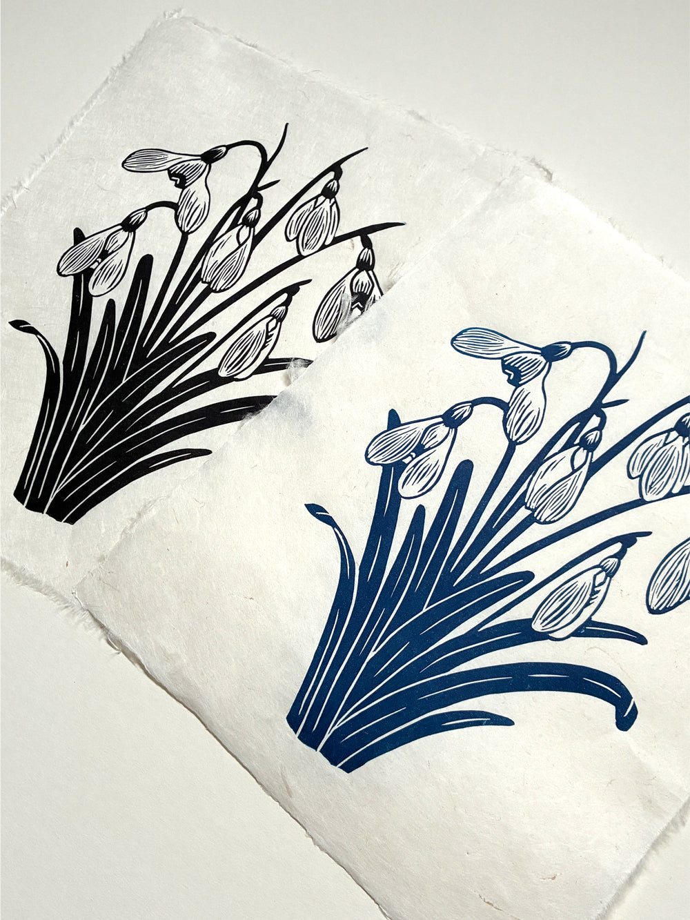 Handmade snowdrops linocut prints on handmade paper in black and blue ink, side view on white background, hand printed by UK linocut artist Sam Luck