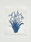 Handmade snowdrops linocut print on handmade paper in blue, full view from above on white background, hand printed by UK linocut artist Sam Luck