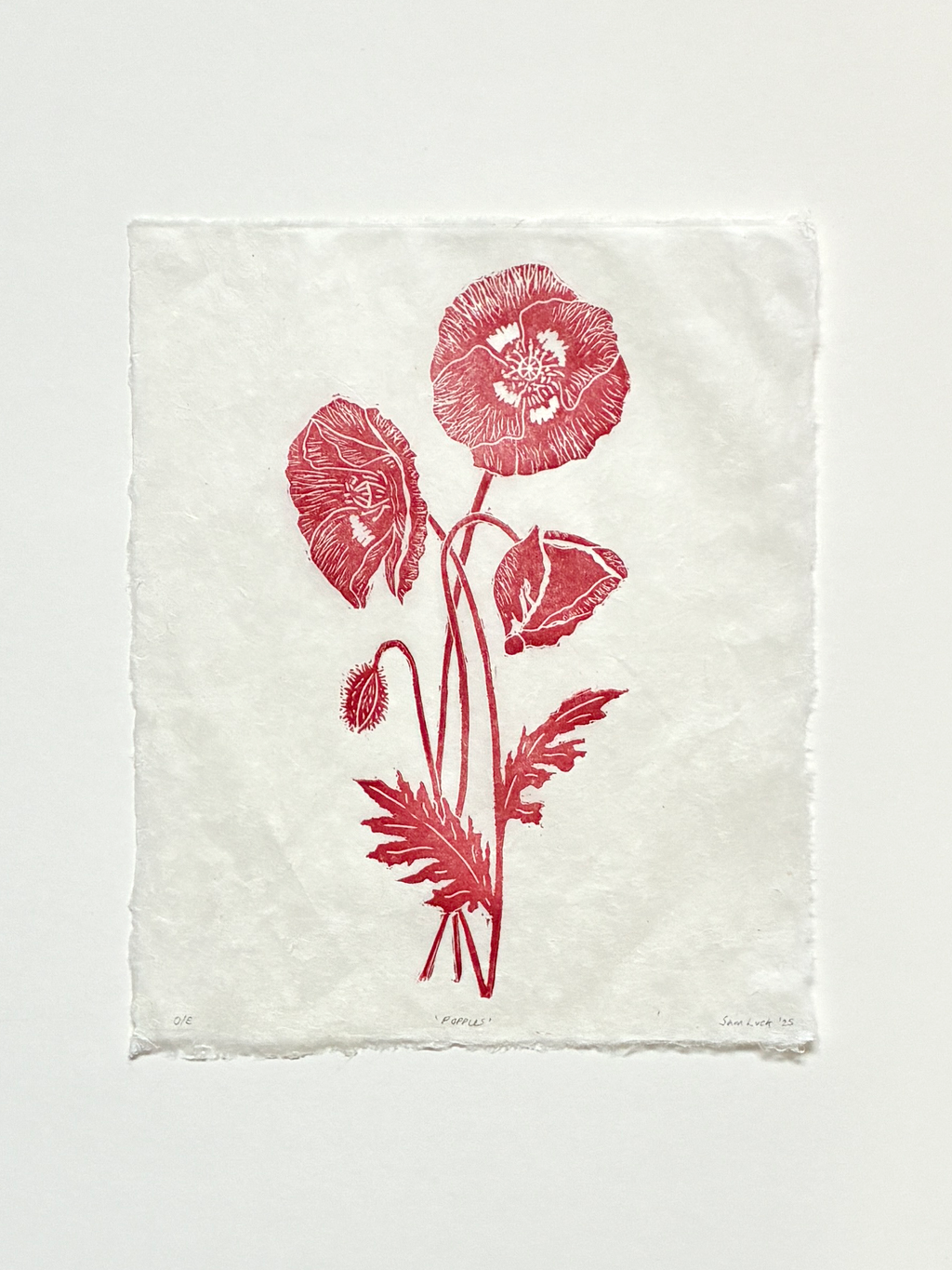 Handmade wild poppies linocut print on handmade paper, view from above, isolated on white background hand printed by UK linocut artist Sam Luck