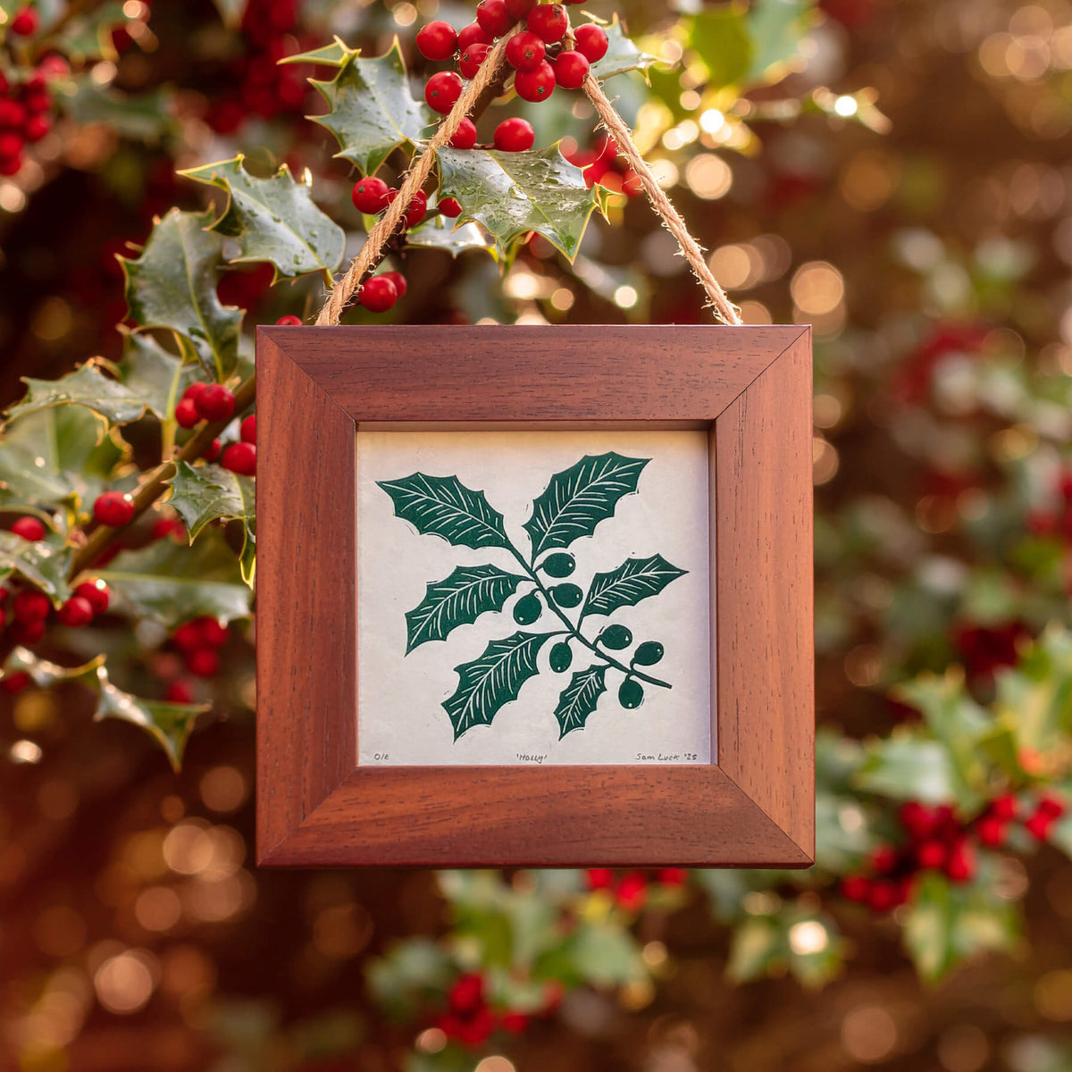 Holly handmade linocut winter print in a frame against a festive background hand carved by printmaker Sam Luck, Hampshire, UK.