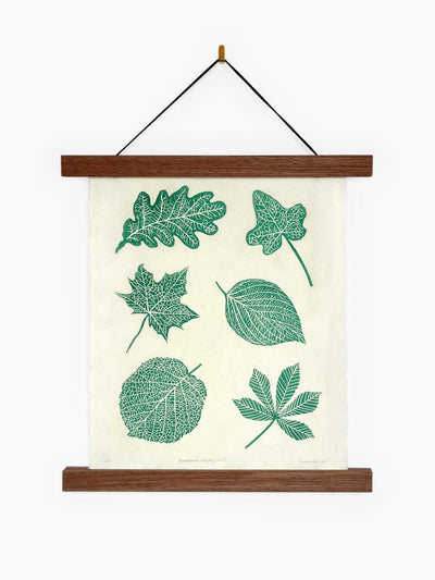 A linocut print of six British woodland leaves on handmade paper, in a hanging wooden frame on a white wall.